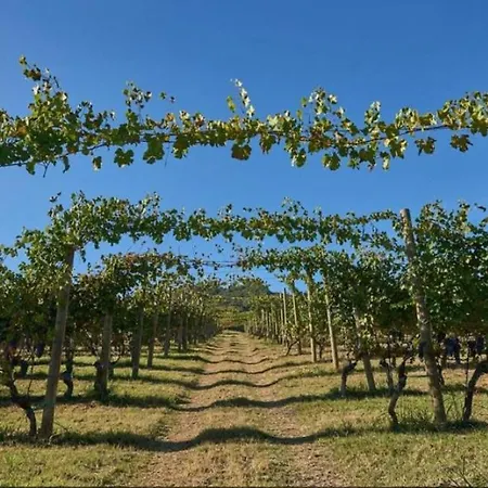 Апартаменты Mari's House *