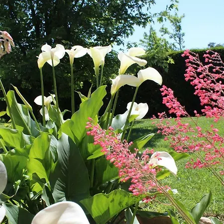 Mari's House * Castagnito